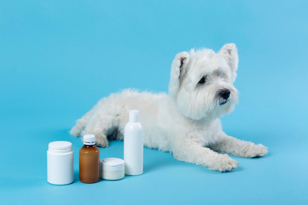 Generic vs. Name Brand: When Can You Save on Pet Meds?